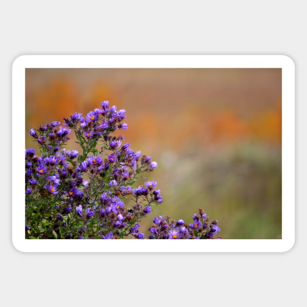 Colors of the Prairie Sticker by bgaynor